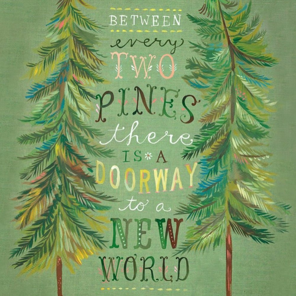 Between every two pines...
